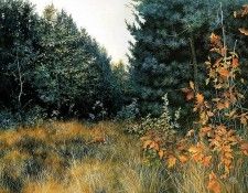 Verstappen Pieter Nature 07. Verstappen, �����