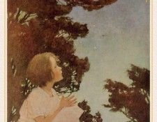 SJ-JWS13. ����, ������ ��������