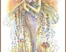 lrsAOF097StuckeyPaulina-FairieMother. , 