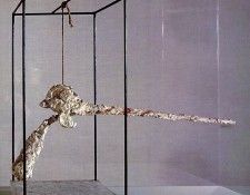 nose. ����������, ��������