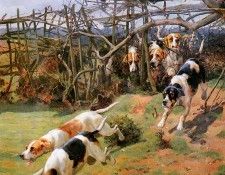 Dodd Arthur Charles Through the fence Sun. , 