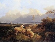 Knip augustus View on Arnhem Sun. Knip �������