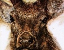 Poortvliet Vliet Nature 378 Sun. Poortvliet, �����