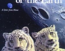 cover1. Schimmel, ������