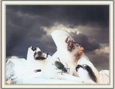 NorfleetB 48 Untitled-WeaSDC. Norfleet, �������