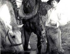 Dagnan Bouveret Horses at the Watering Trough. Dagnan-Bouveret, --