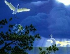 Giver of Life 2. Schimmel, 