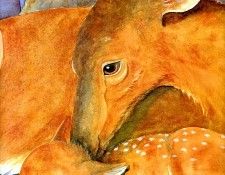 Time For Bed Tb 0013 Little Deer JaneDyer sqs. , 