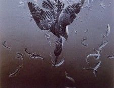 Jean-Luc Grondin - Unknown 02, De. �������, ���-���