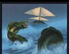 WINDSAIL. Stawicki, �����