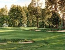 hallowed ground csg026 pinehurst 5th hole. Hartough, �����