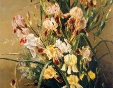 Hemptine de Jeannie A bouqet with poppies Sun . Hemptine,  
