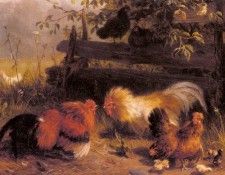 Jutz Carl Chickens. Jutz, 