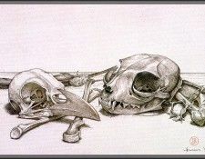 vc JHuss Vanitas. , 