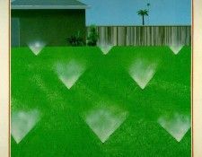 hockney.lawn-sprinkled. , 