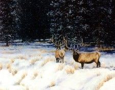 Aaw126 Sarah Woods Royal Retreat sqs. , 