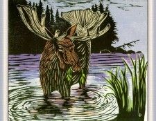 BowenBetsy TracksInTheWild 13 sj. �����, �����