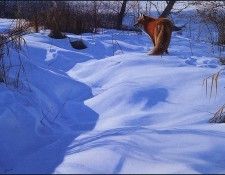 bs-na- John Banovich- Following The Tracks. , 