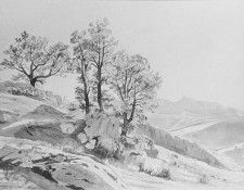 05193. Haseltine, ������ ������