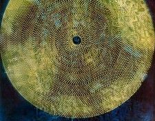 03576. �����, ����