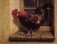 Knip-Ronner Henrietta Rooster Sun. Ronner Knip-