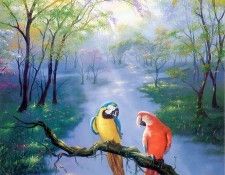 Colors of the Rainbow. ������, ����