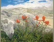cr DonPearson-03-IndianPaintbrush. , 