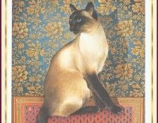 IvoryLesleyAnne GC Chinese Cat WeaSnF. ������, ����� ���