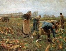 Claus Emile The beet harvest Sun. , 