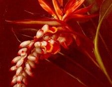 Jensen Johan Laurentz Bird Of Paradise. ,  Laurentz