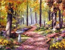 RArt SWD AG Path In The Forest. Giana, ����