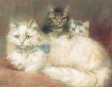 bs-cc-Persian Cat & Her Kittens [Maude D Heaps]. ,  D
