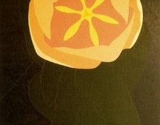 14982. Salaberri, �����