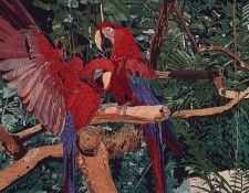 lrsSoulliereJohn-GreenWingedMacaw. Soulliere, 