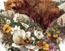 lrs Doolittle B Bugged Bear. , 
