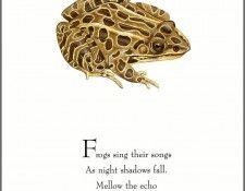 pa TonyOliver FrogsSingSongs 06a. , 