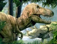 dinosaurs csg011 tyrannosaurus rex. , 