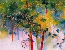 27101. Carbonetti, 