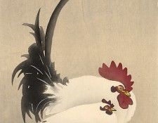 pic09333. �����