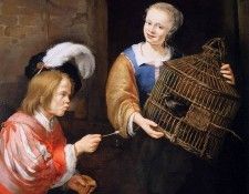Noort van Pieter The tame Starling Sun. ,  