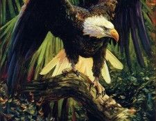 bs-na- John C Doyle- King Of The Coast. ����, ���� �������