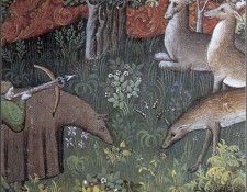 PO hidtc 29. Bluchel, ���� G