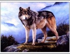 bs-na- Edward Aldrich- Watchful Eye. Aldrich, 