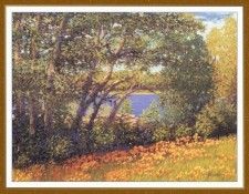 GreenbergJerryA TheSwimmingHole-We. ��������, ������