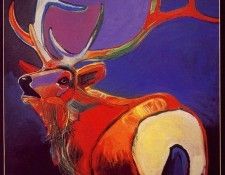 lrs Furlow Malcolm Front Range Elk. Furlow, 
