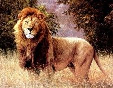 Ae 32 Simba Simon Combes sqs. , 