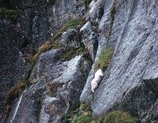 Funny 192. ����� ������ - ���� �����