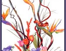 bs-flo- Sara Steele- Amazon Botanicals. ����, ����