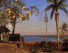 Bierstadt Albert A View in the Bahamas. , 