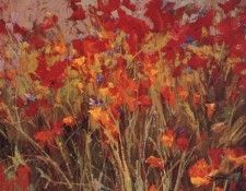 Diane Ainsworth - Poppies and Wildflowers, De. , 